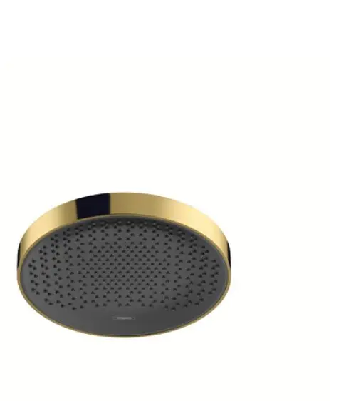Runde Kopfbrause in Schwarz mit goldener Umrandung, designed von Hansgrohe, mit perforierter Oberfläche für gleichmäßigen Wasserfluss.